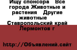 Ищу спонсора - Все города Животные и растения » Другие животные   . Ставропольский край,Лермонтов г.